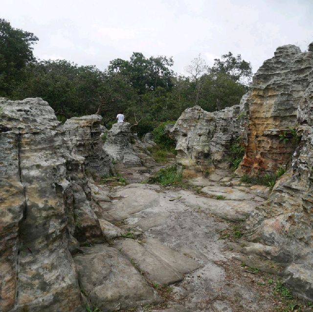 ลานหินหน่อ อุทยานแห่งชาติป่าหินงาม