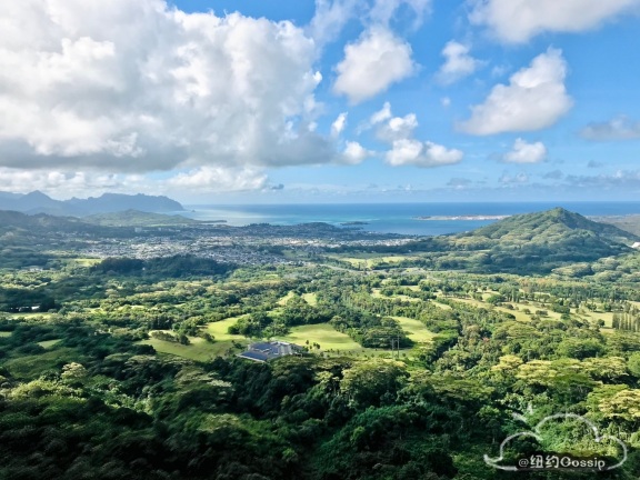 Pali Highway ホノルル の旅行レビュー Trip Comトラベルガイド
