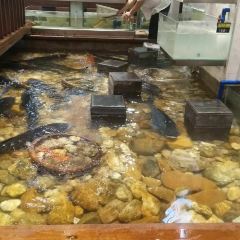 Pi yun bai bian hui cuisine Restaurant User Photo