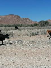 Tropic of Capricorn Sign