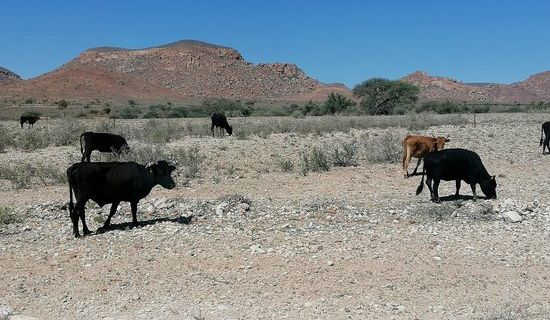 Tropic of Capricorn Sign