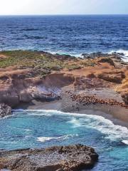 Réserve dÉtat de Point Lobos