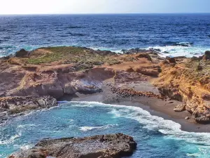 Réserve dÉtat de Point Lobos