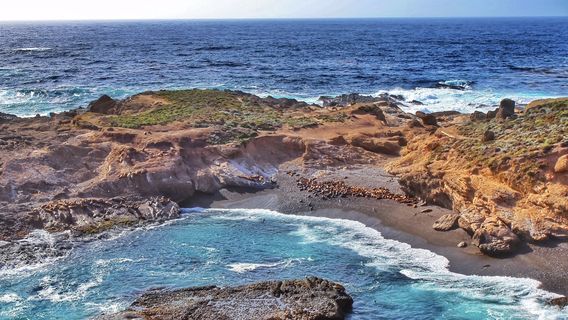 Point Lobos State Natural Reserve