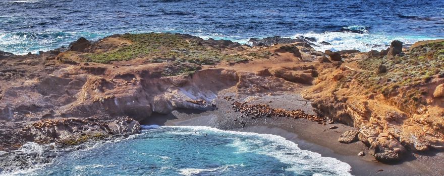 Point Lobos State Natural Reserve