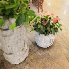 上海中心·花园5號餐厅 User Photo