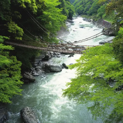 德島酒店