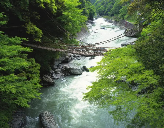 Green Rich Hotel Izumo (Artificial Hot Spring Futamata Yunohana)