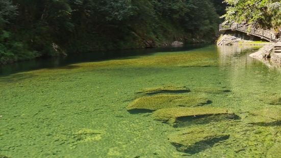 Tongling Valley of Wencheng