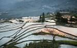 Duoyishu Terraced Field