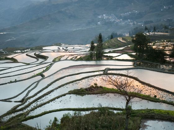 Duoyishu Terraced Field