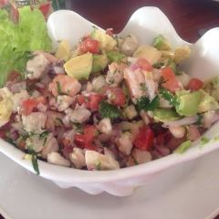 Black Taiga User Photo