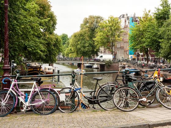 Canals of Amsterdam