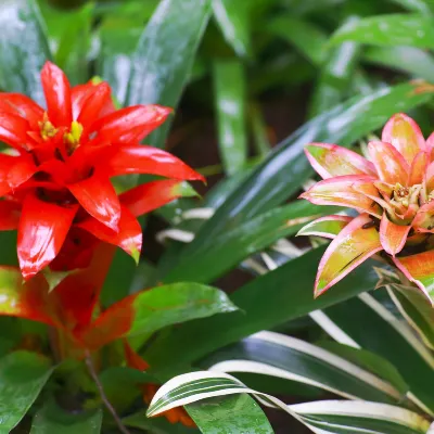 Отзывы об отеле Auldington Hotel