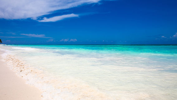 Maldive