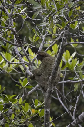 Отель типа «постель и завтрак» в г. Сан Карлос