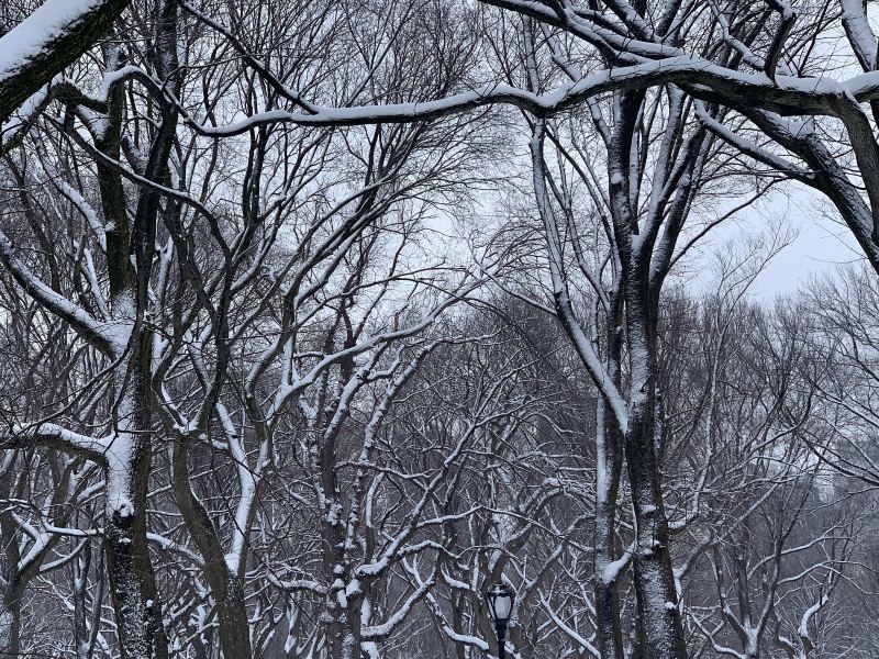 고얼산/고얼산