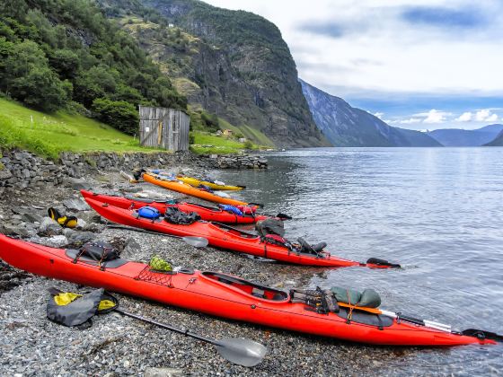 Naeroyfjorden