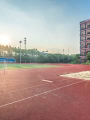 Baosteel Zhanjiang Iron and Steel Plant Football Stadium
