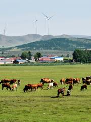 Yudaojou Ranch