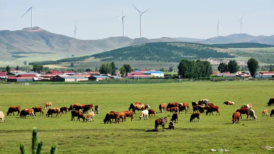 Yudaojou Ranch