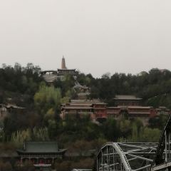 LAN ZHOU ZAI HUI SHOU User Photo