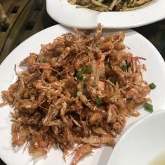 Danjiangyucun User Photo