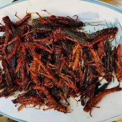 闻香全驴大宅门 User Photo