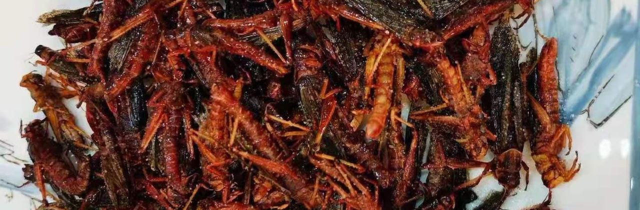 闻香全驴大宅门