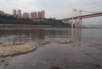 秦云老太婆摊摊面(全国总店) user photo