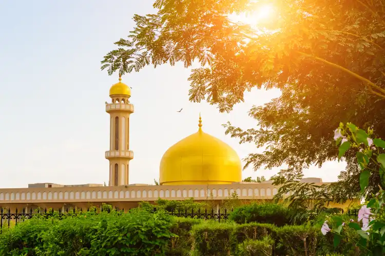 Hotels near Majid Al Saidi International
