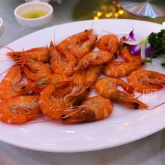 TIE GUO DA PAN JI User Photo