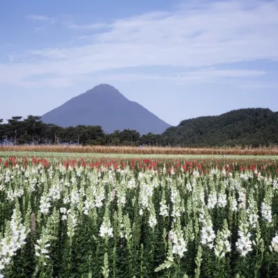 普里西亞爾島度假村