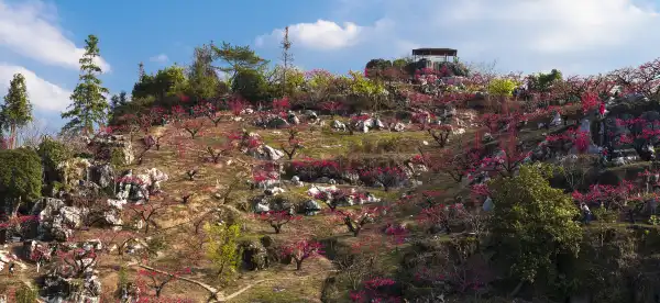 Lianping İlçesi otelleri