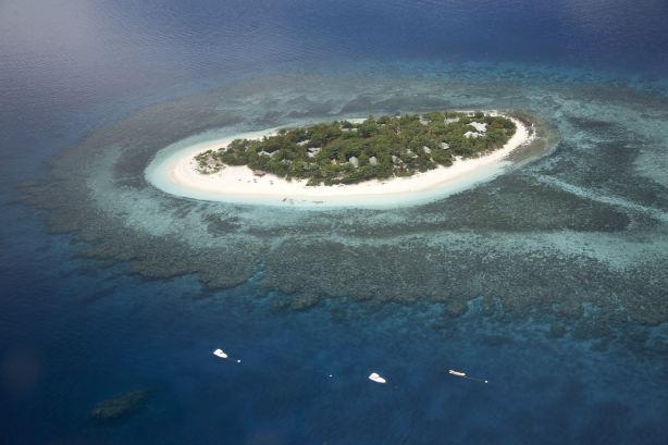 Navini Island