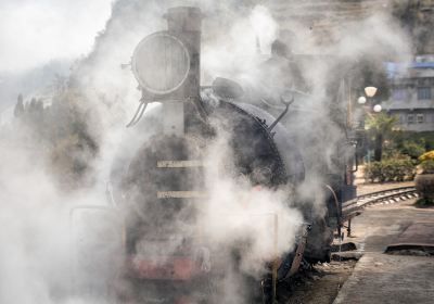 Darjeeling Himalayan Railway Toy Train