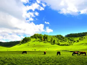 Guanshan Grasslands