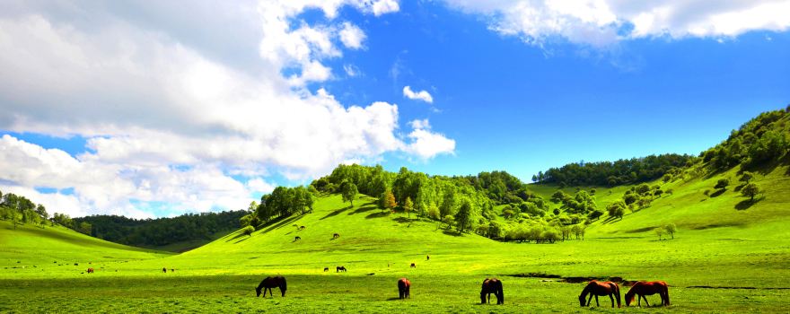 Guanshan Grasslands