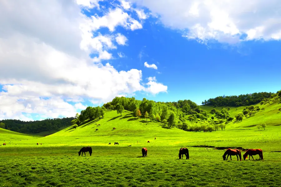 Guanshan Grasslands