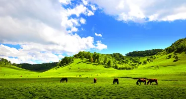 Guanshan Grasslands