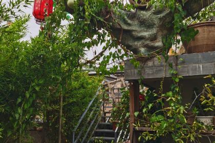 合院餐厅地主家