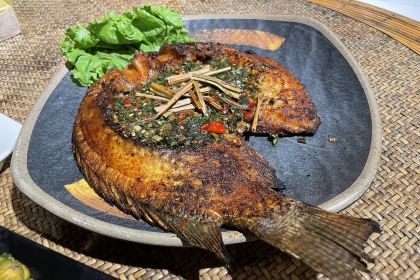 品德宏·孔雀宴的发源地(金塔园店)