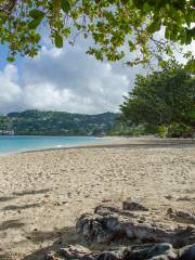 Grand Anse Beach