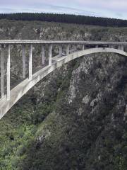 Face Adrenalin Bloukrans Bungee