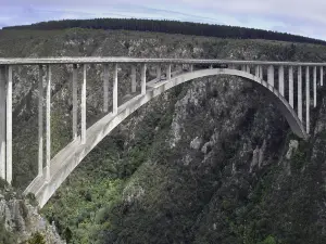 Face Adrenalin Bloukrans Bungee