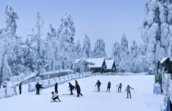 峨眉山金頂+樂山大佛一日遊