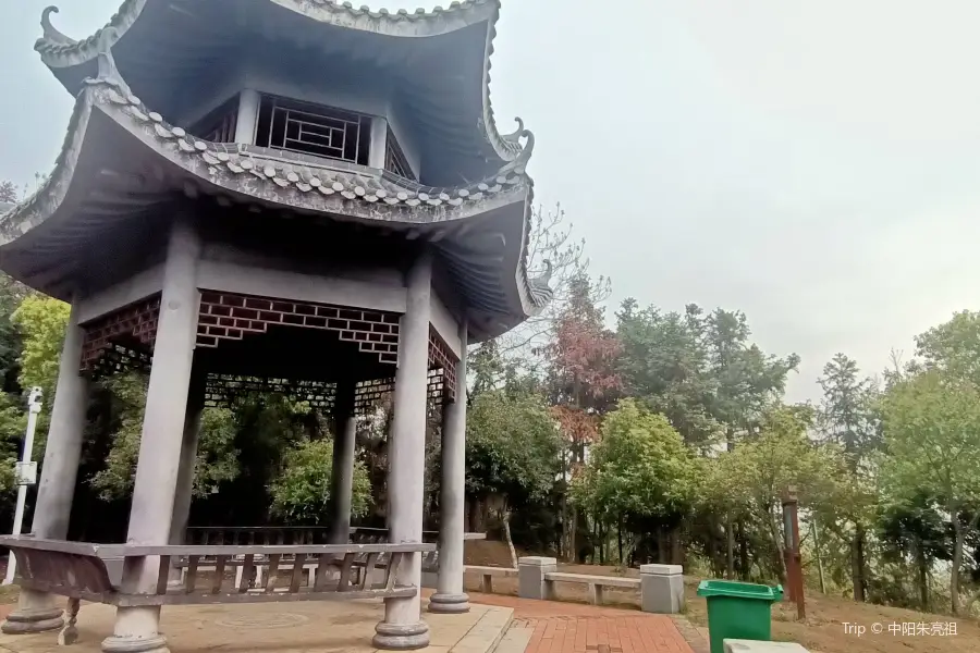 Jinxia Mountain Forest Park