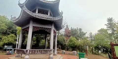 金霞山森林公園
