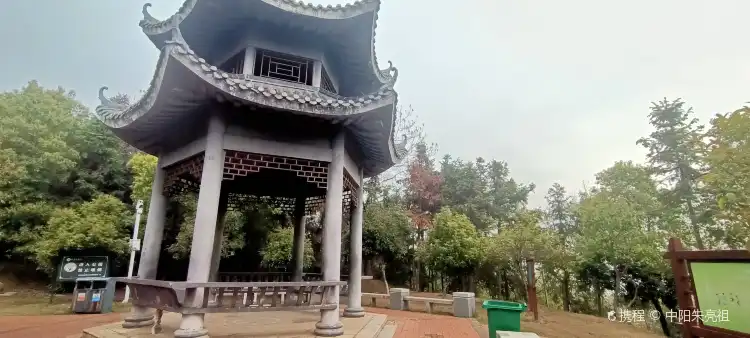Hotels near Jinxia Mountain Forest Park