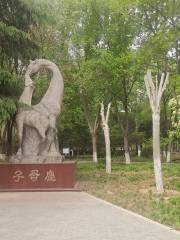 Jinggang Park